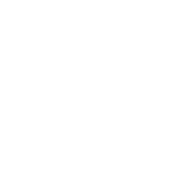 VISIONF O