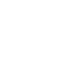 logo-sts-sito2 logo-sts-sito2