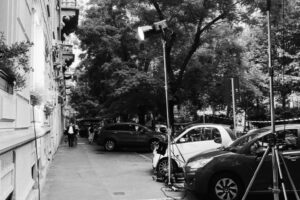 IMG_4949 IMG_4949